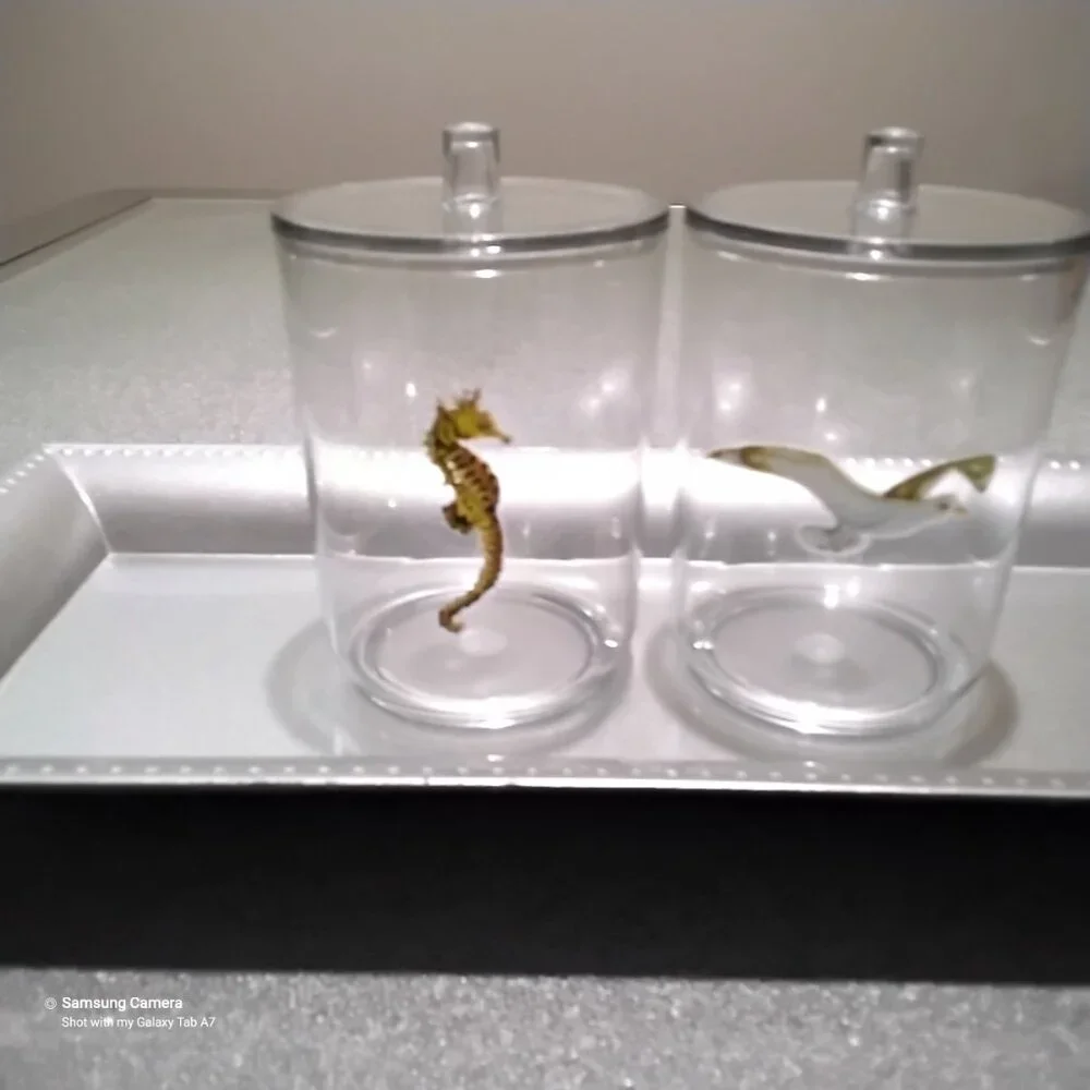Bathroom Vanity Mattt Silver Tray, 2 Ocean Themed Q-Tip, Cotton Ball Containers